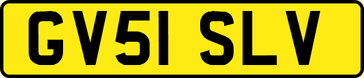 GV51SLV