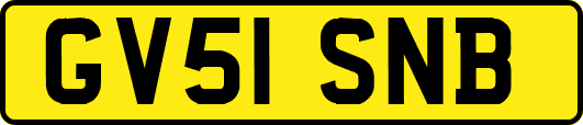 GV51SNB