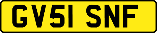 GV51SNF