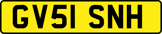 GV51SNH