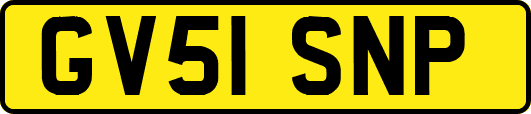 GV51SNP