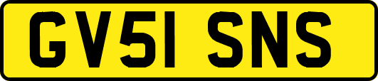 GV51SNS