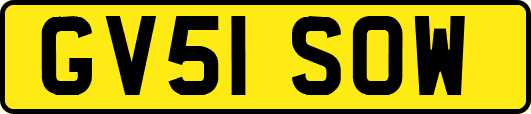 GV51SOW