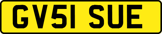 GV51SUE