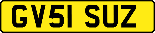 GV51SUZ