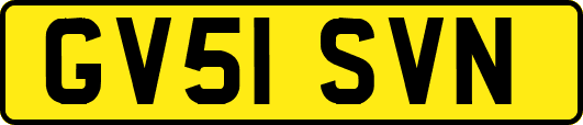 GV51SVN