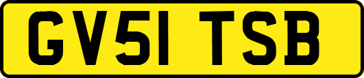 GV51TSB