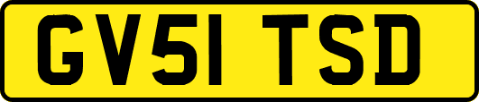 GV51TSD