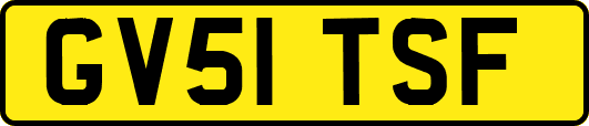 GV51TSF
