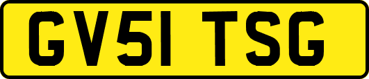 GV51TSG