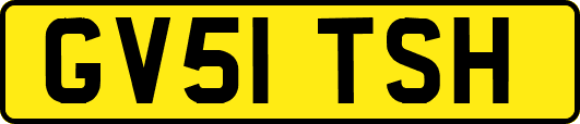 GV51TSH