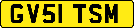 GV51TSM