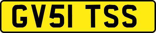 GV51TSS