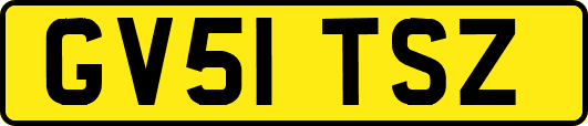 GV51TSZ