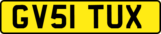 GV51TUX