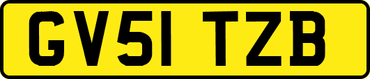 GV51TZB