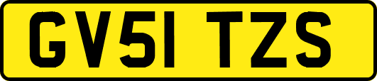GV51TZS
