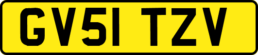 GV51TZV