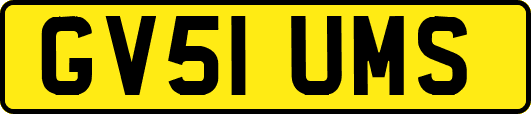 GV51UMS
