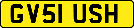 GV51USH