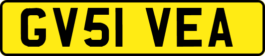 GV51VEA