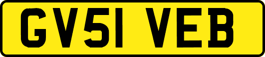 GV51VEB
