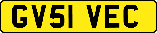 GV51VEC