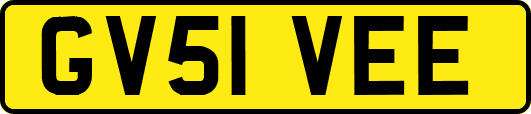 GV51VEE