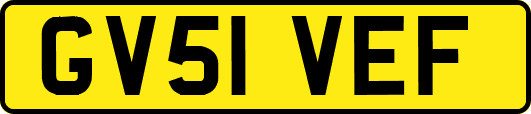 GV51VEF