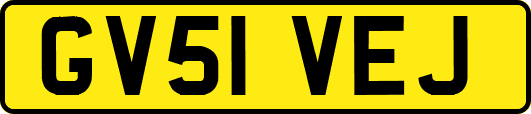 GV51VEJ