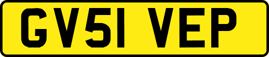 GV51VEP