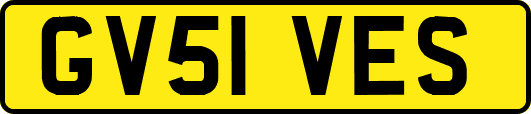 GV51VES