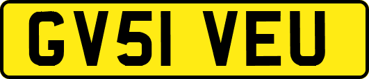 GV51VEU