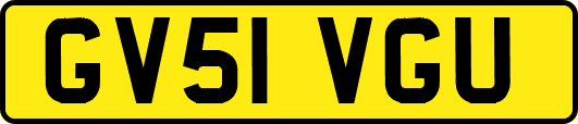 GV51VGU