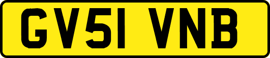 GV51VNB