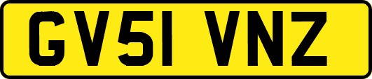 GV51VNZ