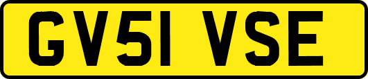 GV51VSE