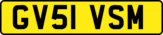 GV51VSM