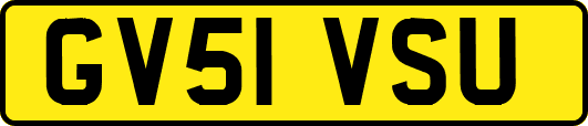 GV51VSU