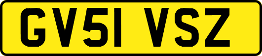 GV51VSZ