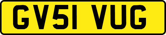 GV51VUG