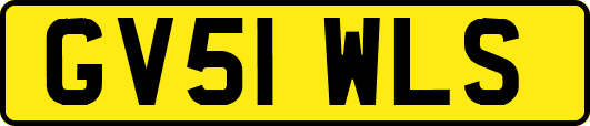 GV51WLS