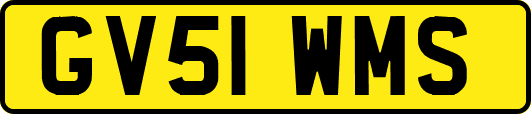 GV51WMS