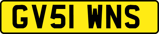 GV51WNS