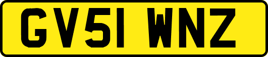 GV51WNZ