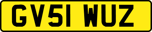 GV51WUZ