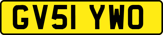 GV51YWO