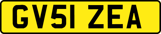 GV51ZEA