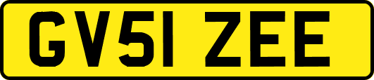 GV51ZEE