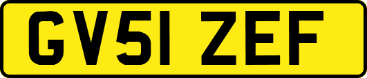 GV51ZEF